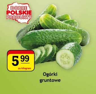 Gram Market Ogórki gruntowe oferta