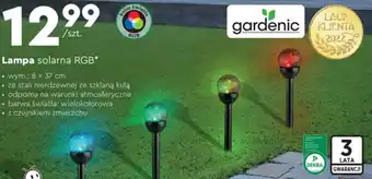 Biedronka Lampa solarna RGB oferta