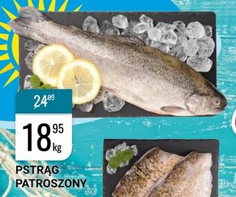 bi1 Pstrąg patroszony oferta