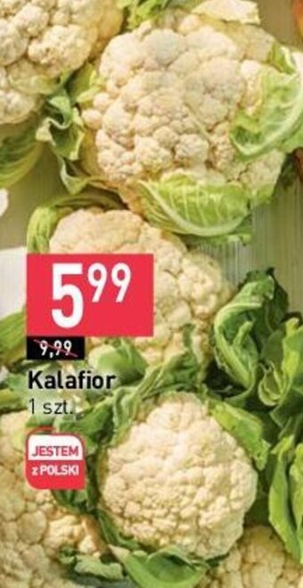 Stokrotka Kalafior 1 szt. oferta
