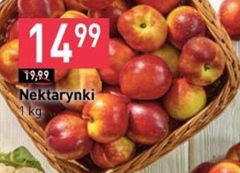 Stokrotka Nektarynki 1 kg oferta
