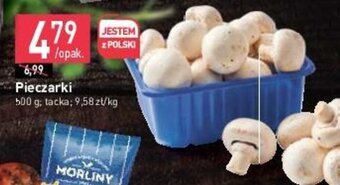 Stokrotka Pieczarki 500 g oferta