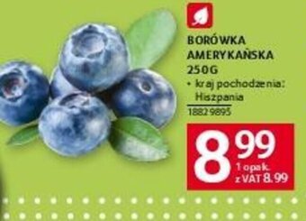 Selgros BORÓWKA AMERYKAŃSKA 250 G oferta