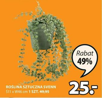 JYSK Roślina sztuczna svenn oferta