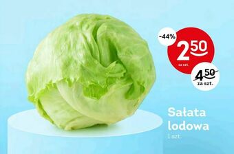 Żabka Sałata lodowa oferta