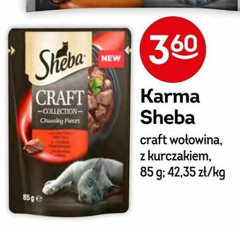 Żabka Karma Sheba oferta