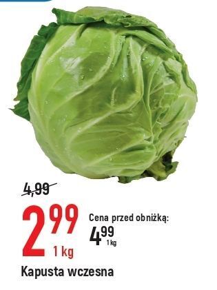 E.Leclerc Kapusta młoda oferta