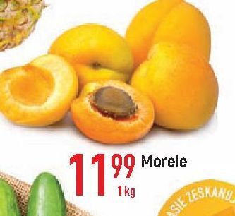 E.Leclerc Morele oferta