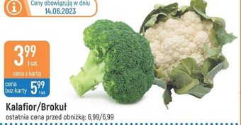 E.Leclerc Brokuł oferta