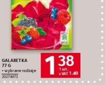 Selgros GALARETKA 77 G oferta
