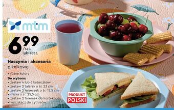 Biedronka Zestaw foremek do kostek lodu mtm oferta