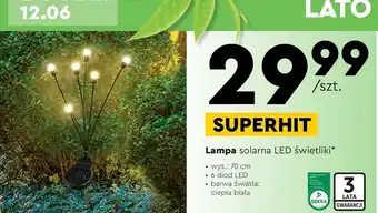 Biedronka Lampa solarna świetliki 70 cm oferta