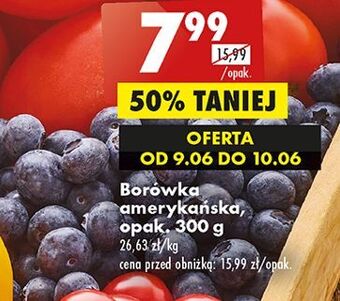 Biedronka Borówki amerykańskie oferta