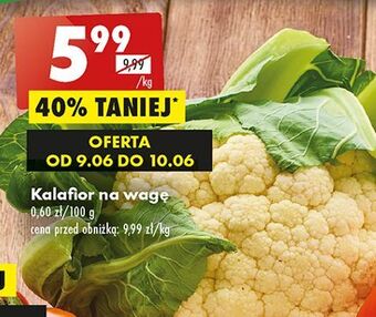 Biedronka Kalafior oferta