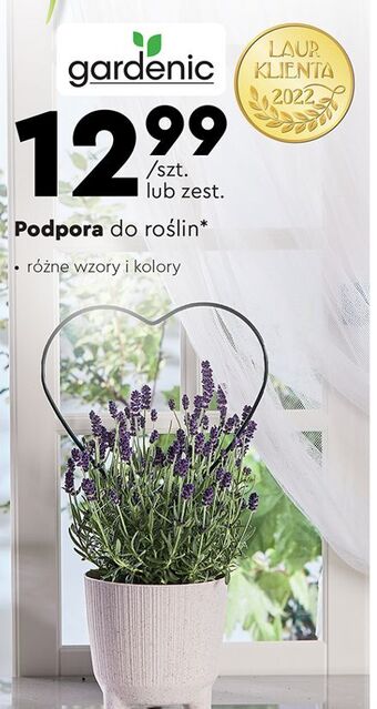 Biedronka Podpora do roślin gardenic oferta