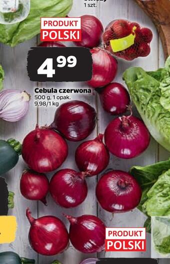 Netto Cebula czerwona oferta