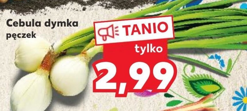 Kaufland Cebula oferta