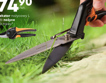 Biedronka Sekator oferta
