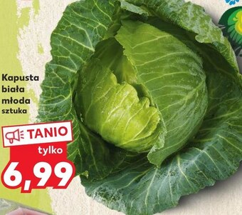 Kaufland Kapusta oferta