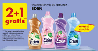 Biedronka WSZYSTKIE PŁYNY DO PŁUKANIA EDEN oferta