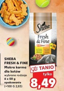 Kaufland Karma dla kota z kurczakiem drobiem indykiem sheba fresh & fine oferta