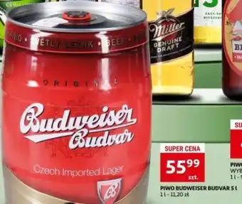 Auchan Piwo budweiser budvar oferta