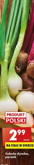 Biedronka Cebula dymka oferta