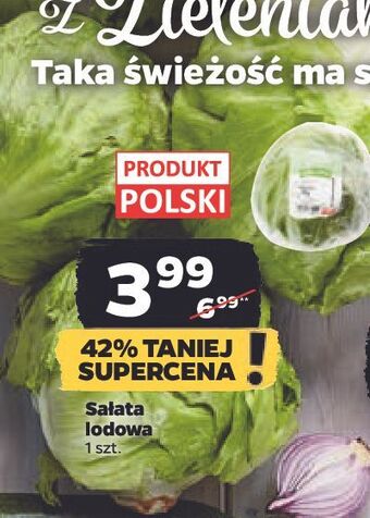 Netto Sałata lodowa oferta