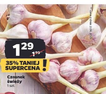 Netto Czosnek oferta