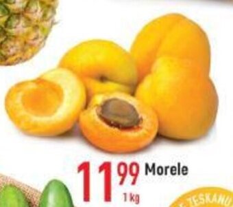 E.Leclerc Morele 1kg oferta