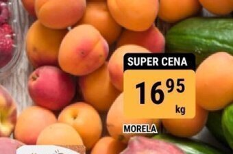 bi1 MORELA 1kg oferta