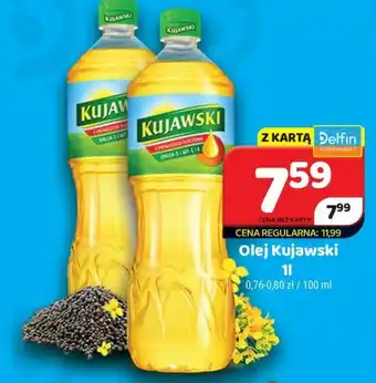 Delfin Olej Kujawski 1l oferta