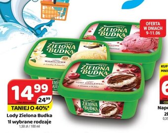 Delfin Lody Zielona Budka 1l oferta