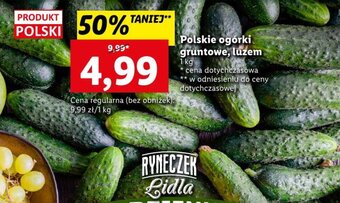 Lidl Polskie ogórki gruntowe, luzem 1 kg oferta