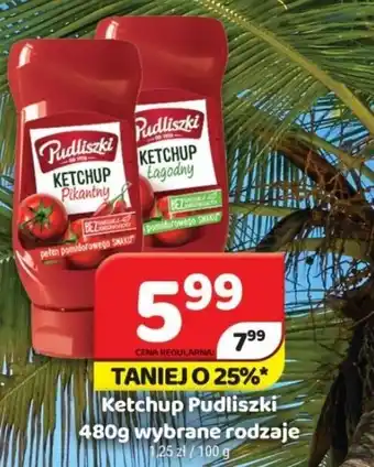 Delfin Ketchup Pudliszki 480g oferta