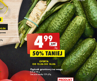 Biedronka Ogórek gruntowy 1kg oferta