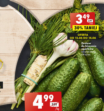 Biedronka Zestaw do kiszenia ogórków oferta