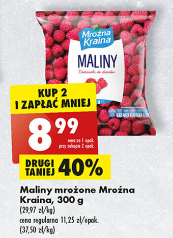 Biedronka Maliny mrożone Mroźna Kraina, 300 g oferta