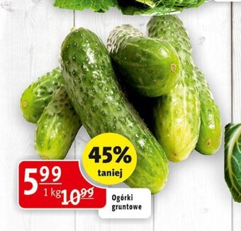 Prim Market Ogórki gruntowe 1kg oferta