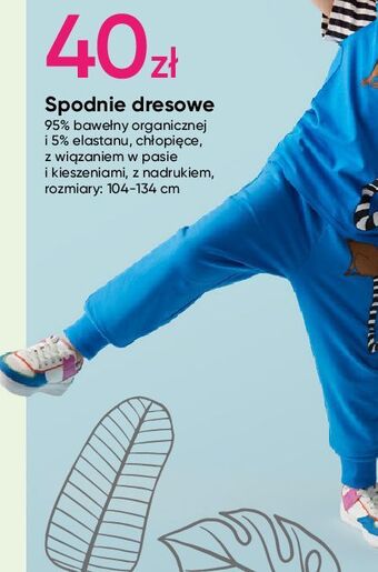 Pepco Spodnie dresowe 104-134 cm oferta