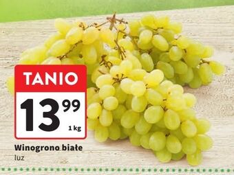 Intermarche Winogrona białe oferta