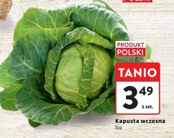 Intermarche Kapusta wczesna oferta