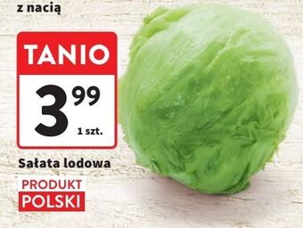 Intermarche Sałata lodowa oferta
