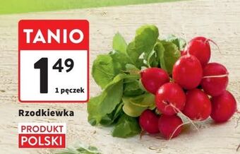Intermarche Rzodkiewka oferta
