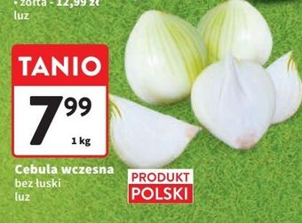 Intermarche Cebula wczesna oferta