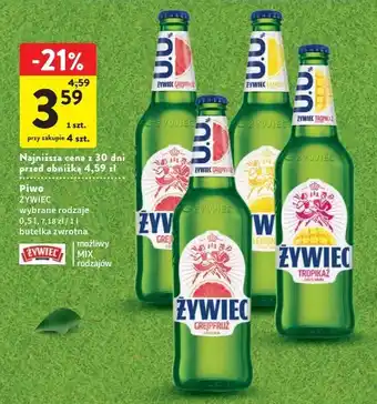 Intermarche Piwo żywiec lemonż z nutą cola oferta