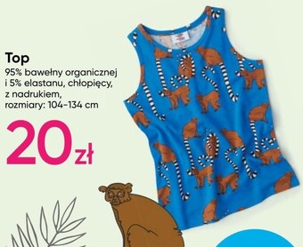 Pepco Top chłopięcy oferta
