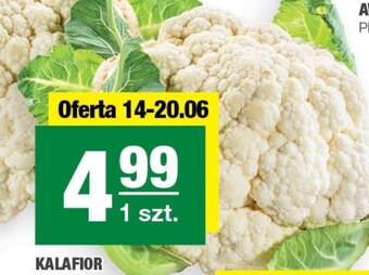 Spar Kalafior oferta
