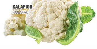 EuroSPAR Kalafior oferta