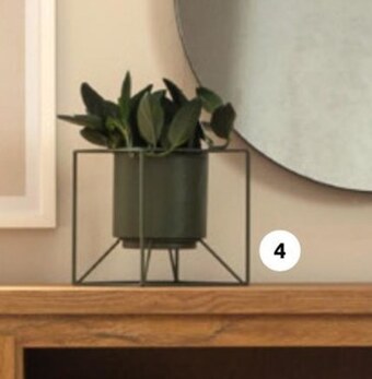 Black Red White Doniczka oferta